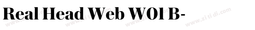 Real Head Web W01 B字体转换